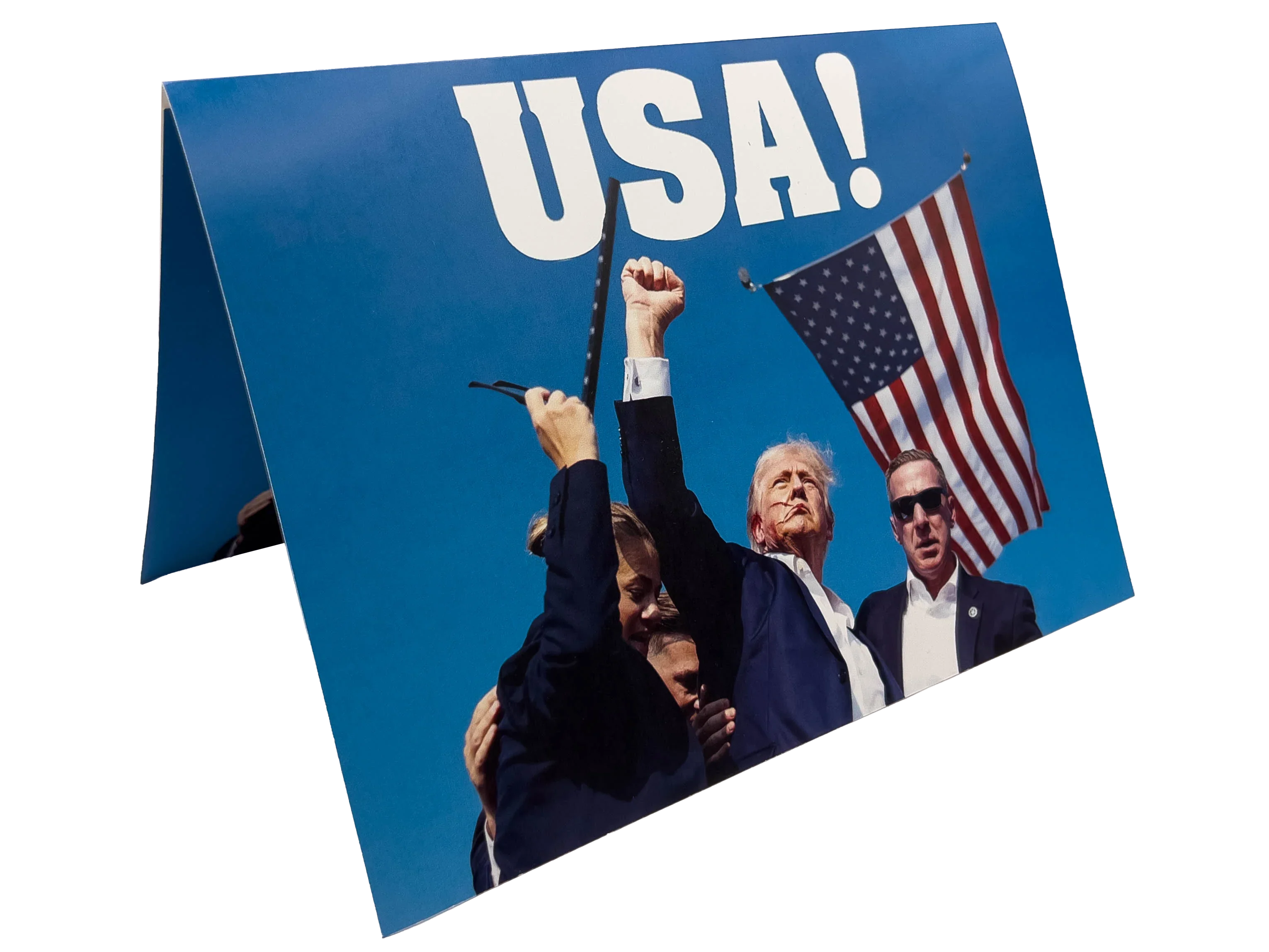 Donald Talking USA Card