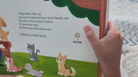 Noah's Ark (Hardcover)
